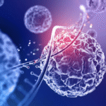 hormonas bajo un telescopio