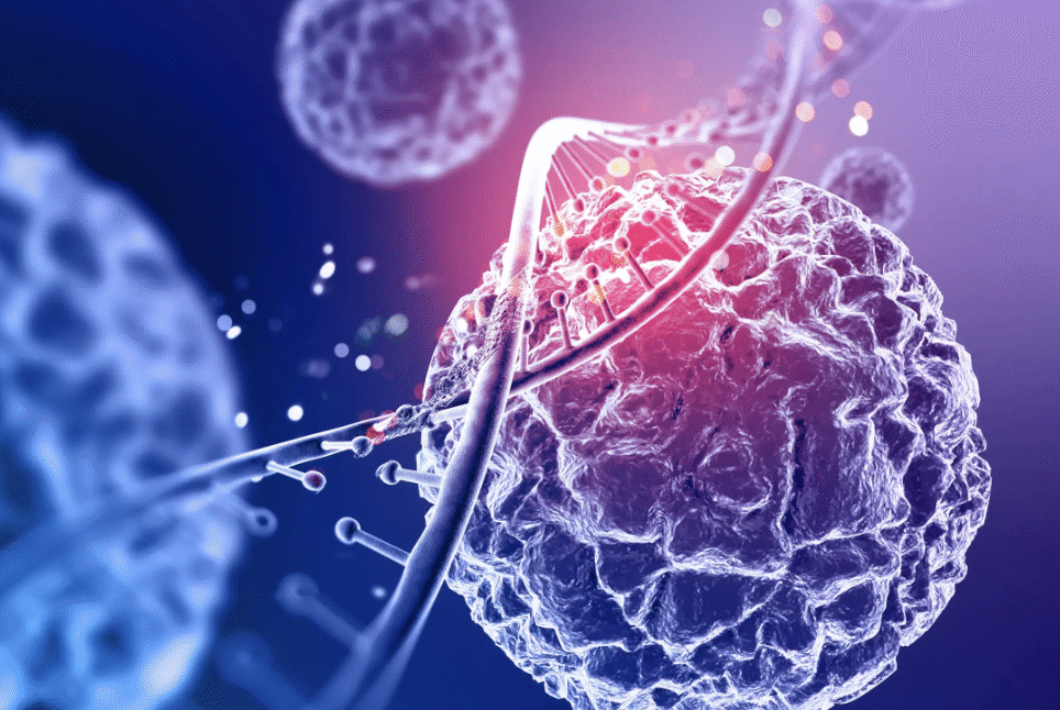 hormonas bajo un telescopio